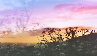 手機APP開發(fā)_網(wǎng)站建設(shè)_網(wǎng)站開發(fā)_用戶體驗